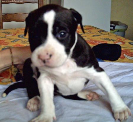 ma ptite bubu......