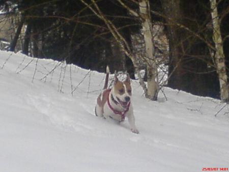 en hiver